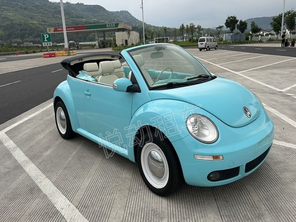 敞篷甲殼蟲(chóng)